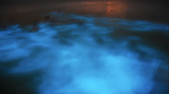 Luminous Lagoon